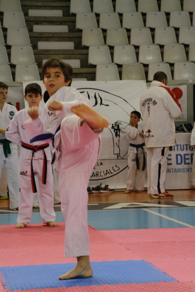 Taekwondo Dic 2016 (108).jpg